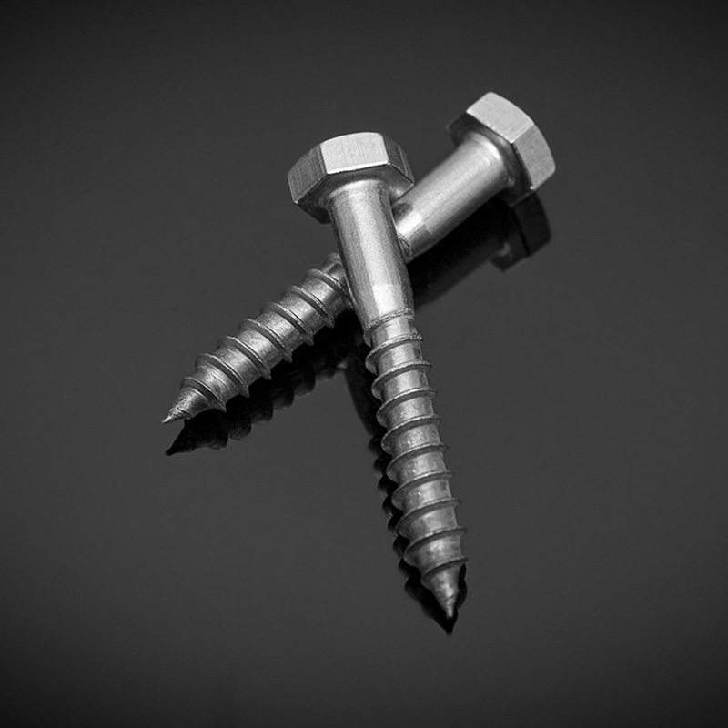 DIN571 Steel Hexagon Head Wood Cochleas DIN571 Steel Hexagon Head Wood Cochleas